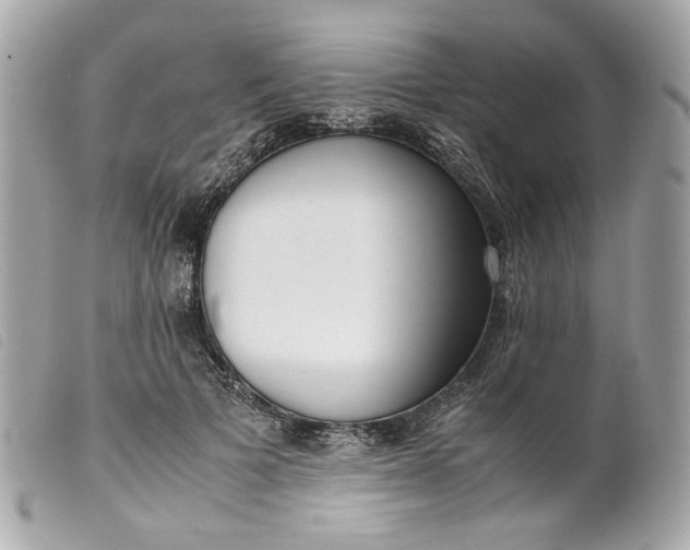 X0000099550697200805301521