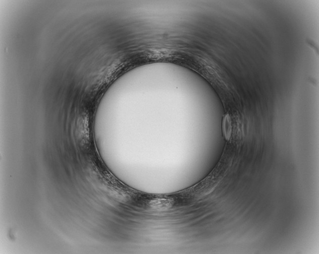 X0000099550700200805301521