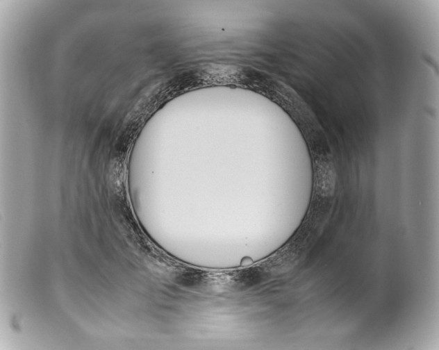 X0000099550701200805301521