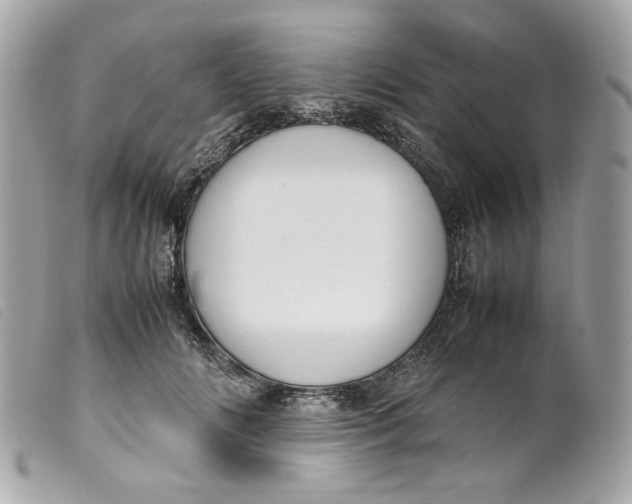 X0000099550702200805301521