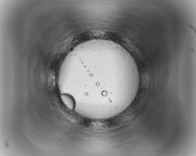 X0000099550703200805301521