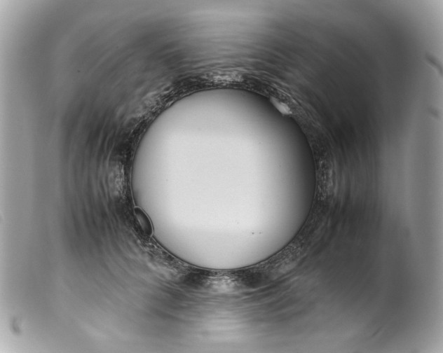 X0000099550704200805301521