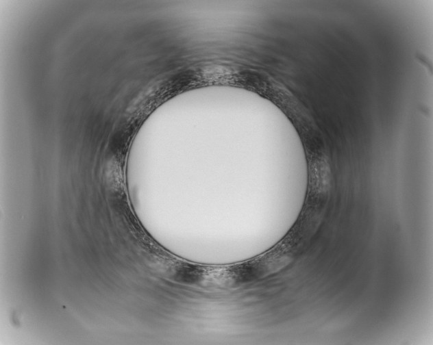 X0000099550705200805301521