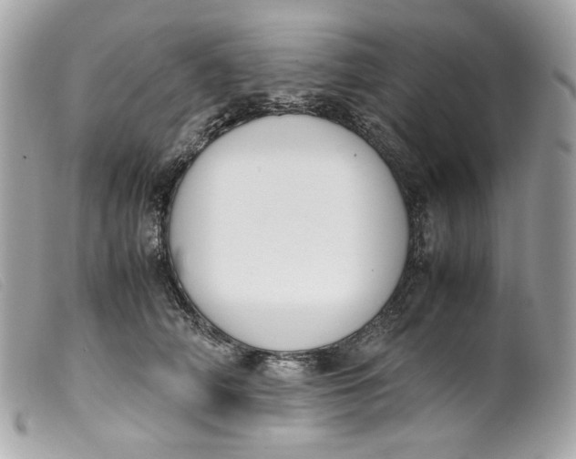 X0000099550706200805301521