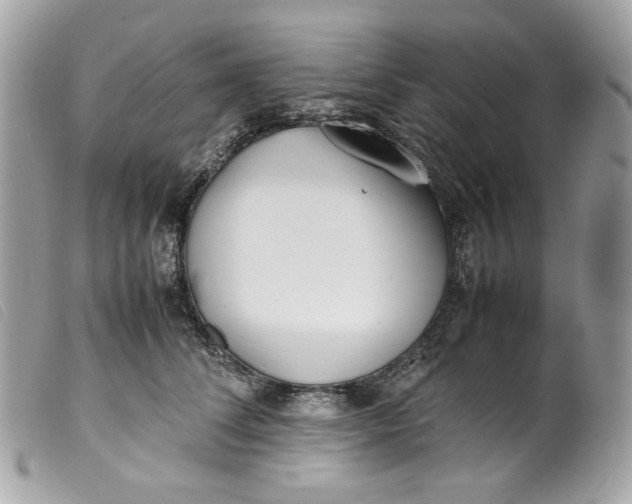 X0000099550708200805301521