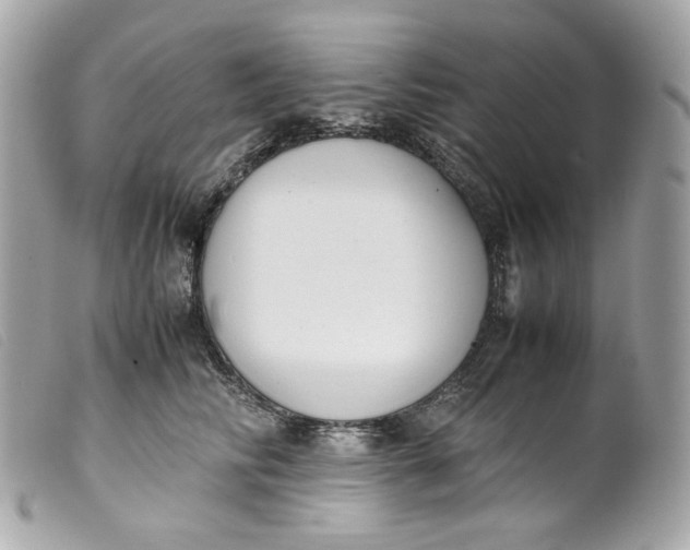 X0000099550710200805301521