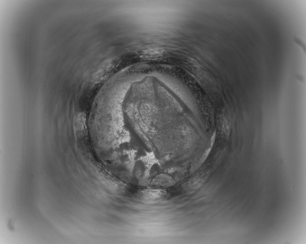 X0000099550711200805301521