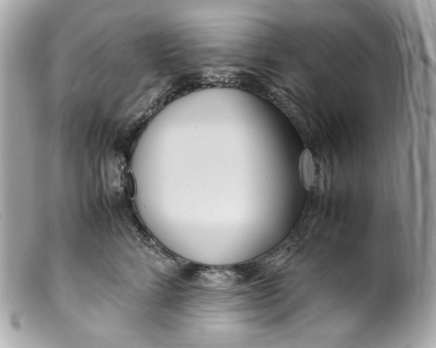 X0000099550712200805301521