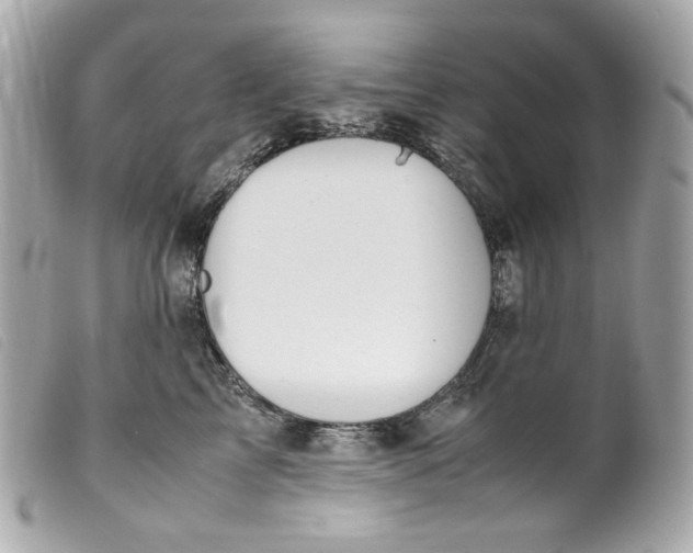 X0000099550713200805301521