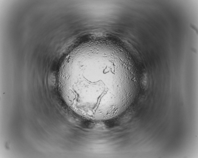 X0000099550715200805301521