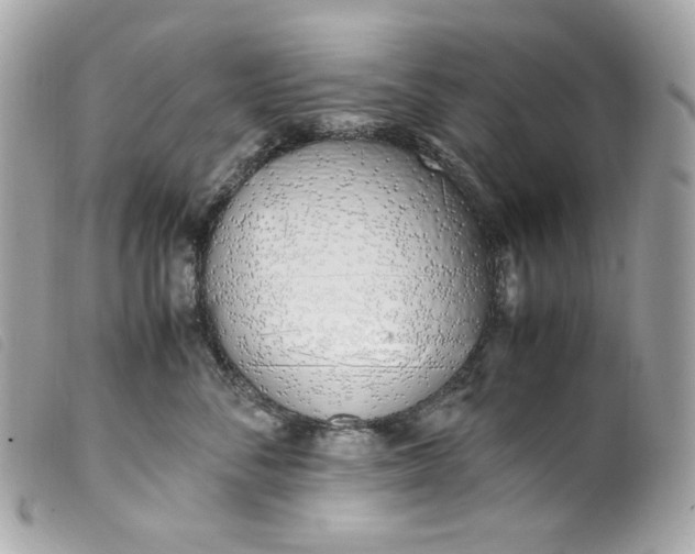 X0000099550716200805301521