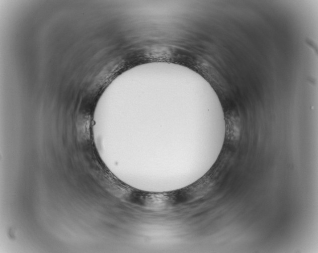 X0000099550717200805301521