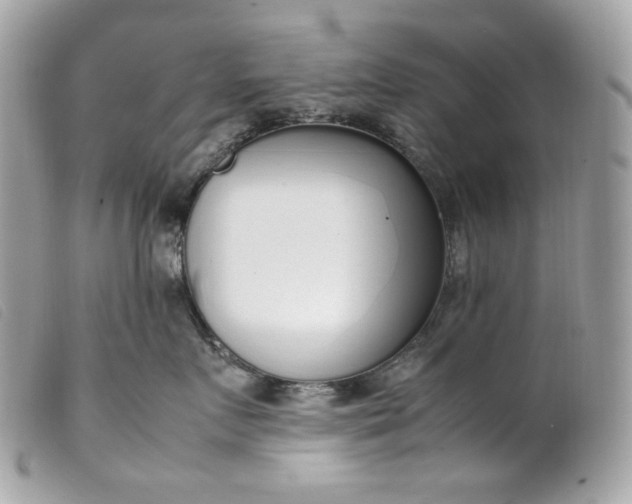 X0000099550719200805301521