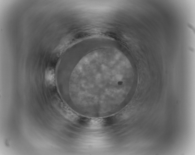 X0000099550720200805301521