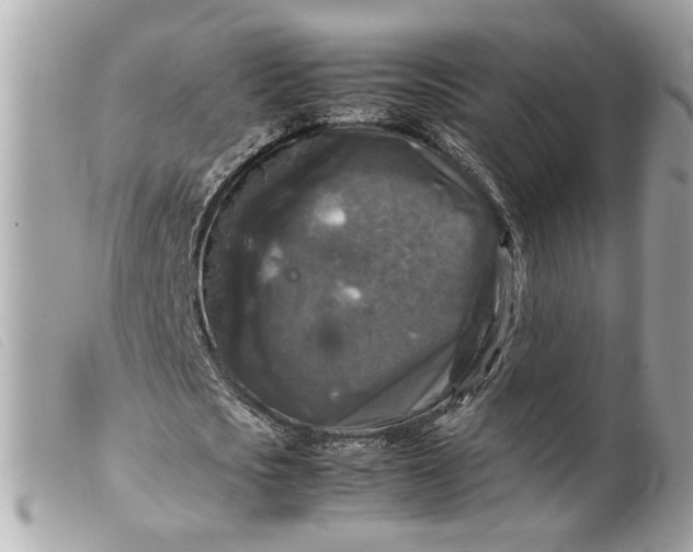 X0000099550721200805301520