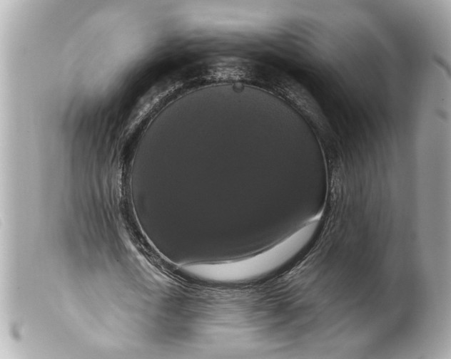 X0000099550722200805301520