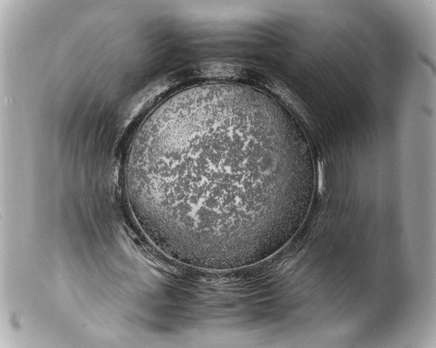 X0000099550723200805301520