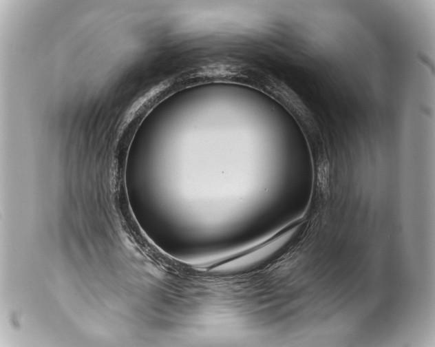 X0000099550724200805301520