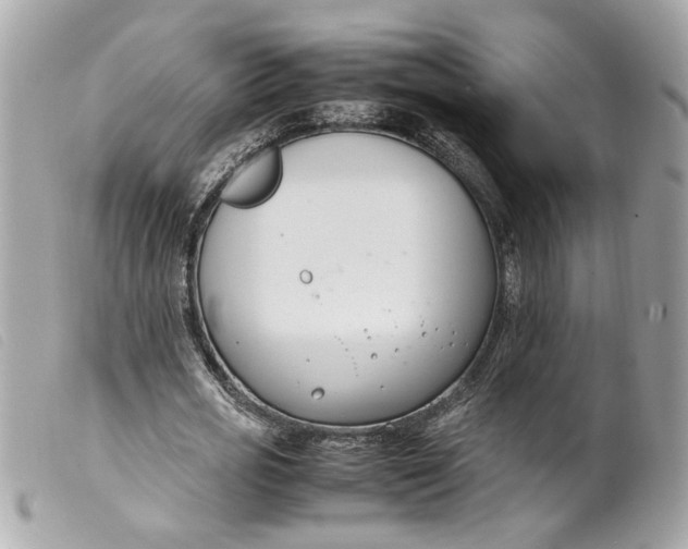 X0000099550725200805301520