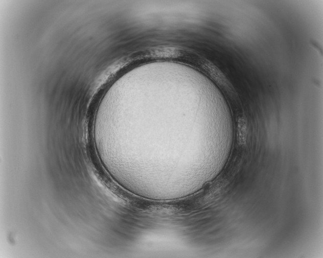 X0000099550726200805301520