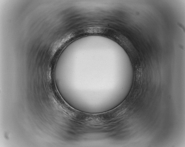 X0000099550727200805301520