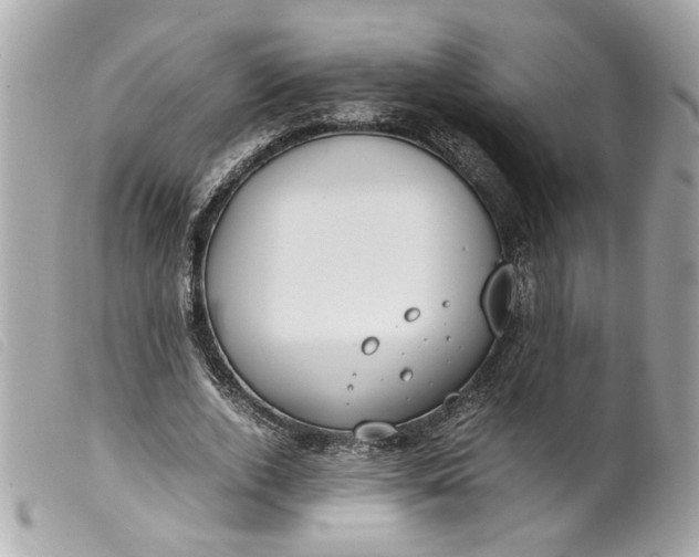 X0000099550728200805301520