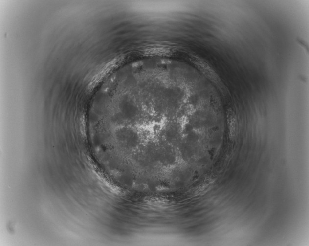 X0000099550729200805301520