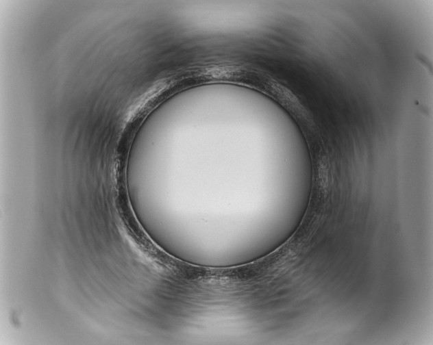 X0000099550730200805301520