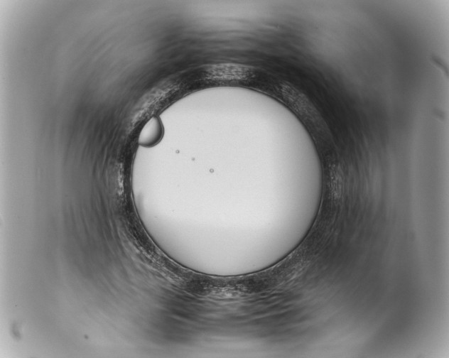 X0000099550731200805301520