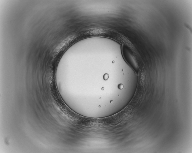 X0000099550732200805301520