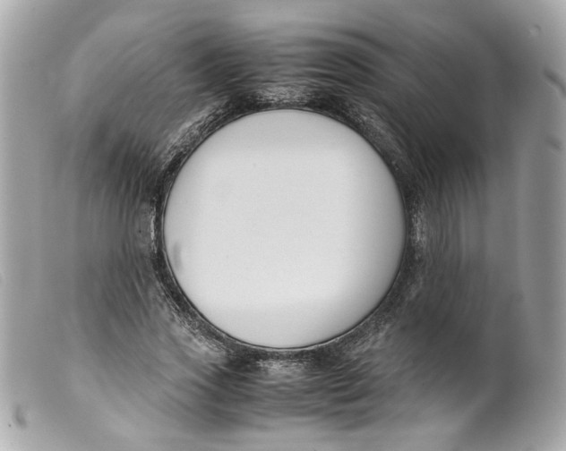 X0000099550733200805301520