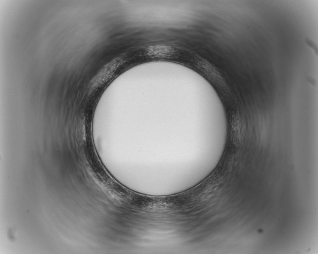 X0000099550734200805301520