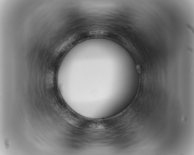 X0000099550735200805301520