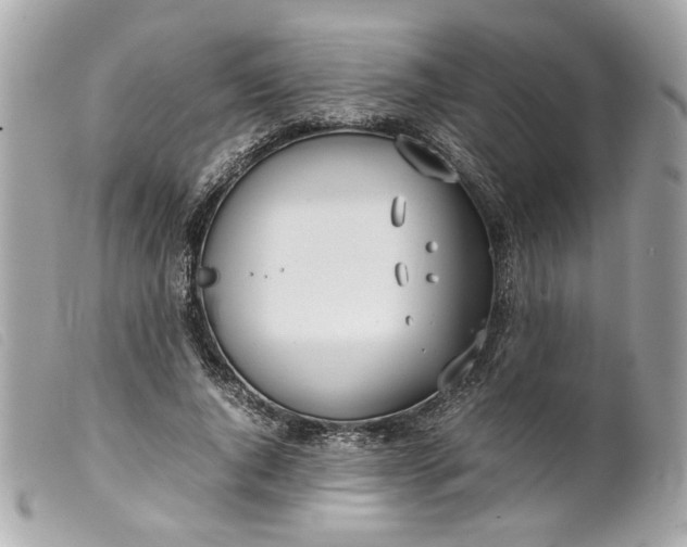 X0000099550736200805301520