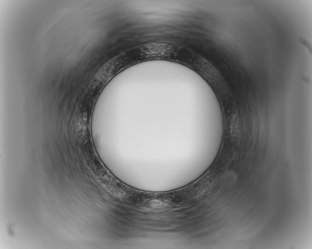 X0000099550737200805301520