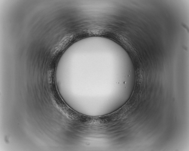 X0000099550738200805301520