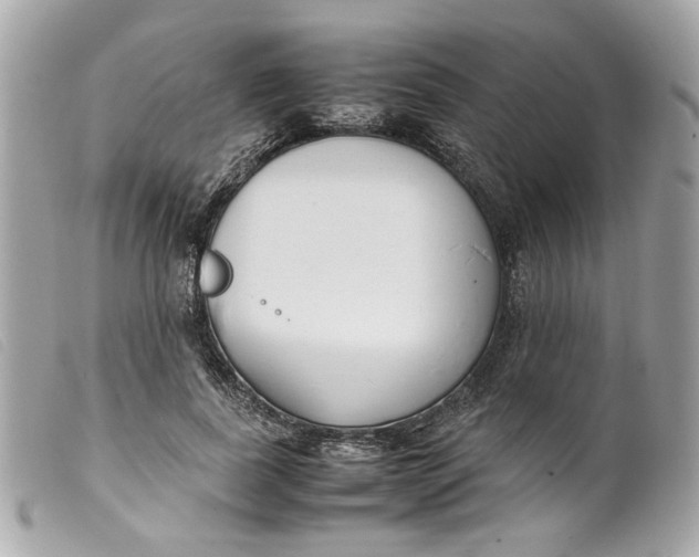 X0000099550739200805301520