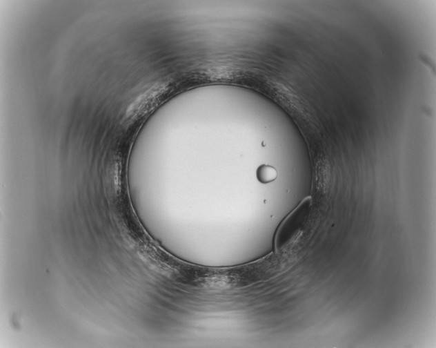 X0000099550740200805301520