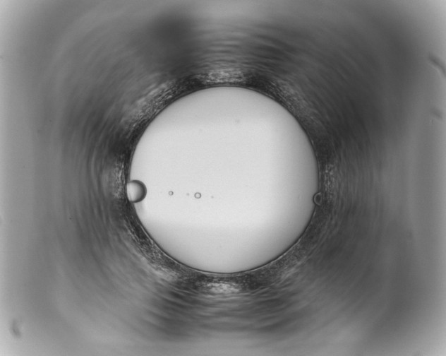 X0000099550741200805301520