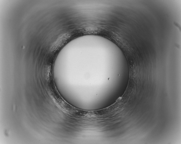 X0000099550742200805301520