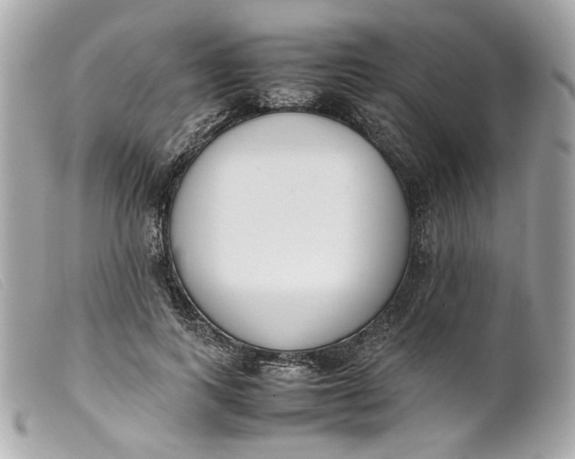 X0000099550743200805301520