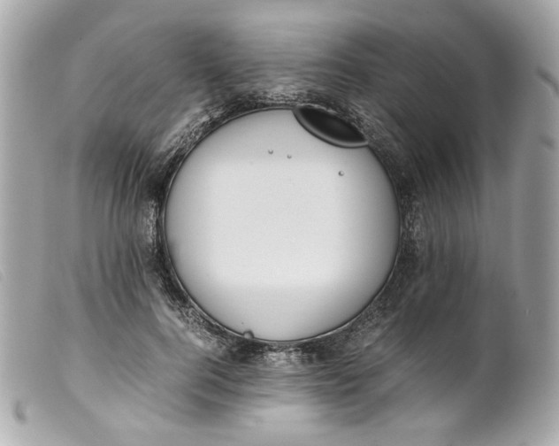 X0000099550744200805301520