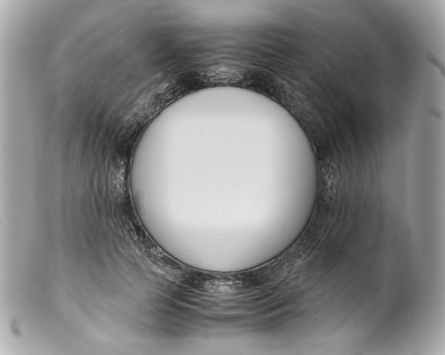 X0000099550745200805301520