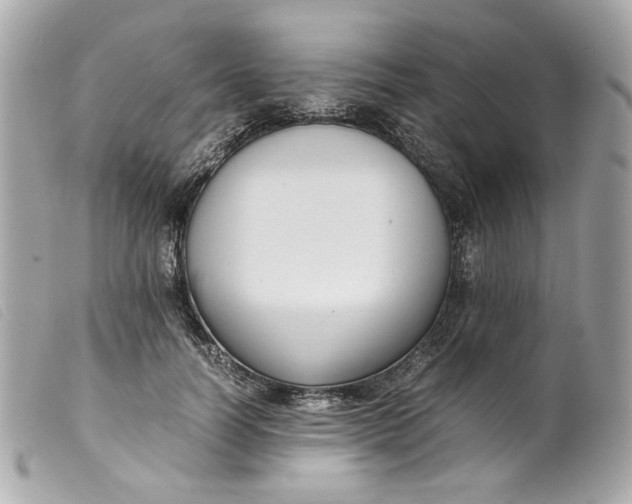 X0000099550746200805301520