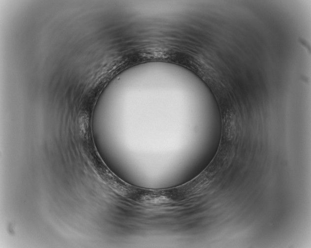 X0000099550747200805301520