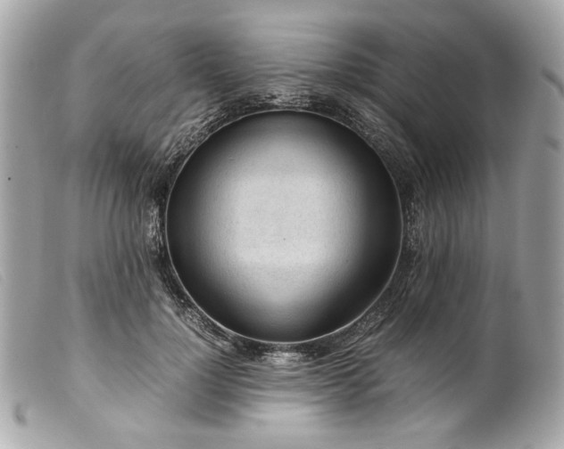 X0000099550748200805301520