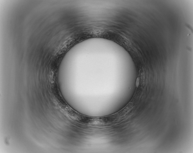 X0000099550750200805301520