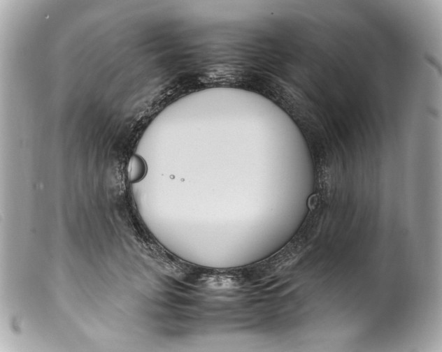 X0000099550751200805301520