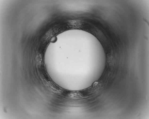 X0000099550752200805301520