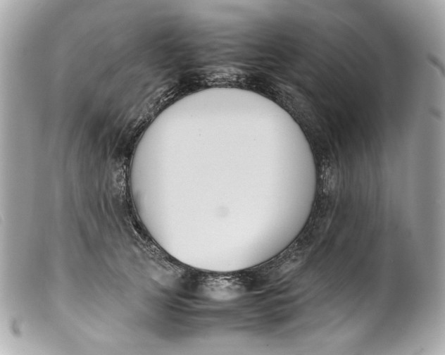 X0000099550753200805301520